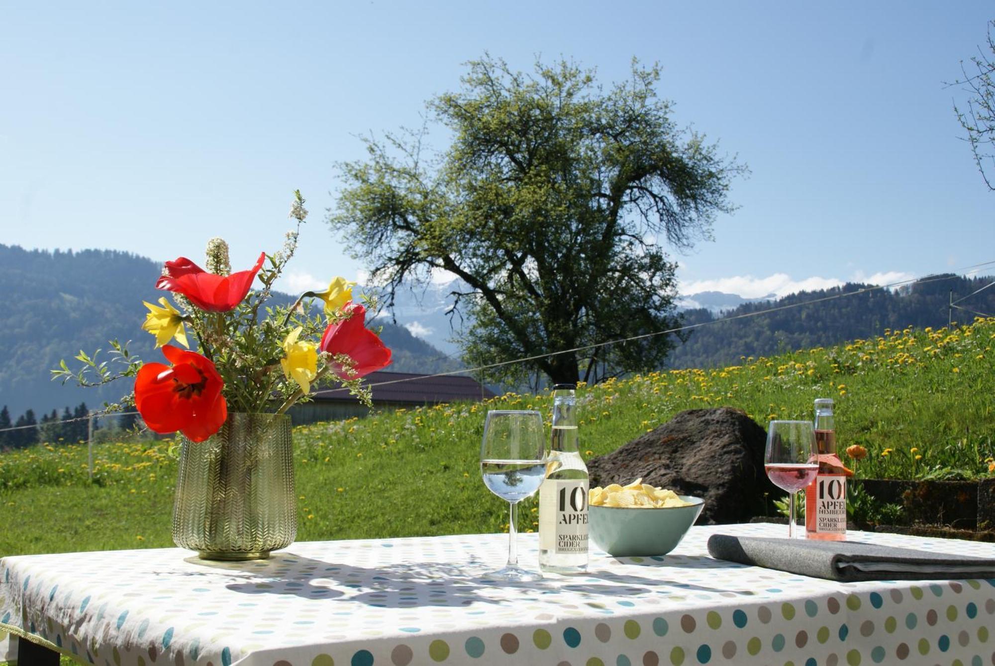 Schweizer Hof Villa Schwarzenberg im Bregenzerwald Buitenkant foto