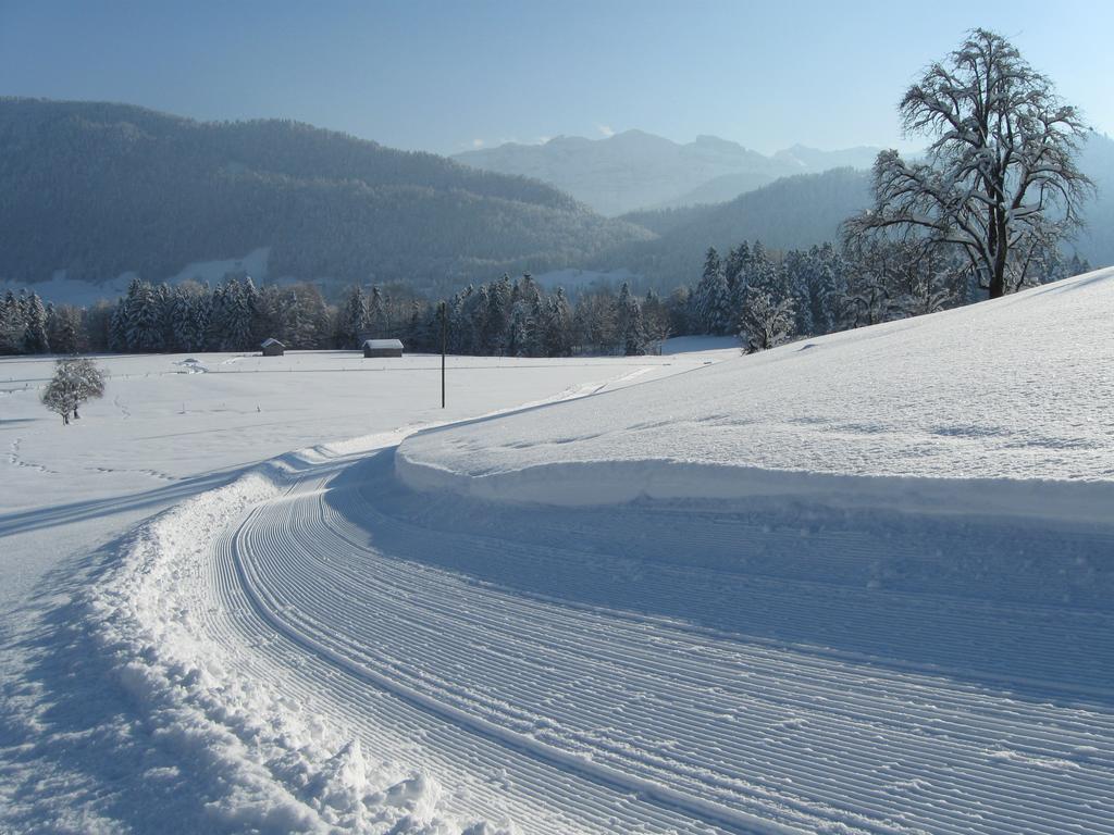 Schweizer Hof Villa Schwarzenberg im Bregenzerwald Buitenkant foto